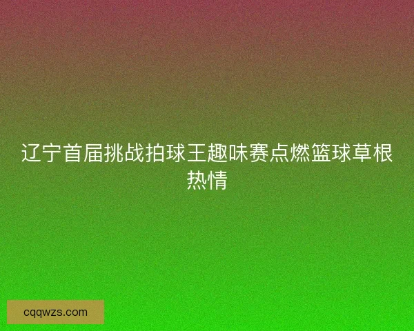 辽宁首届挑战拍球王趣味赛点燃篮球草根热情